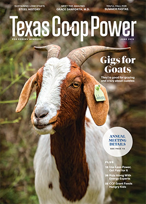 Read Texas Co-op Power