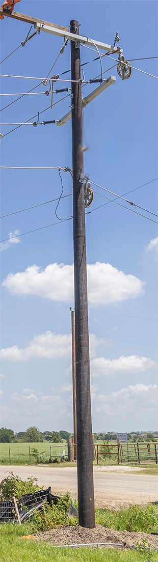 Wooden Pole